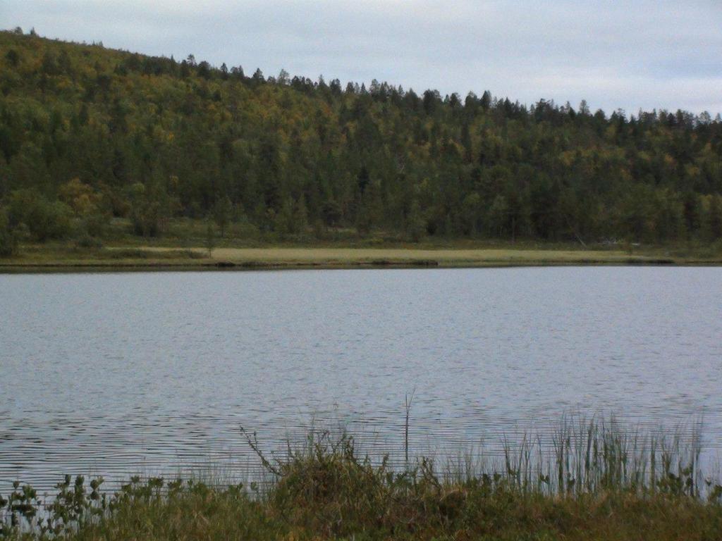 Davvi Arctic Lodge Kaaresuvanto Exterior foto